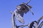 Thumbnail of IMG_keof.jpg