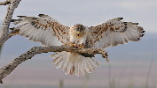 Thumbnail of IMG_land.jpg