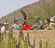 Thumbnail of IMG_ocam.jpg