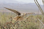 Thumbnail of IMG_rank.jpg