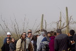 Thumbnail of IMG_rowd.jpg