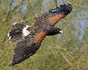 Thumbnail of IMG_soon.jpg