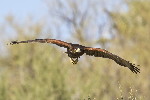 Thumbnail of IMG_tk01.jpg