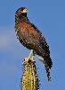 Thumbnail of IMG_tk02.jpg