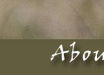 designbar