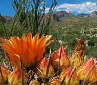 kathleen mccormick munroe falls oh