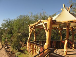 View of the Treehouse