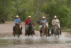 Horse riders crossing the river