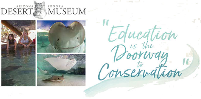 Educating is the Doorway to Conservation