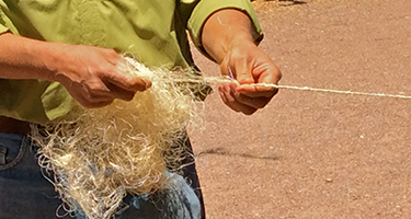 Making rope from agave fibers
