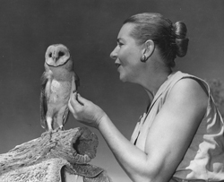 Natie Gras and barn owl