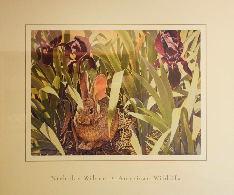 nick_wilson_american_wildlife.jpg