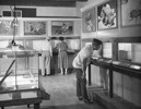 Thumbnail of Small Animal Rooom 1950s