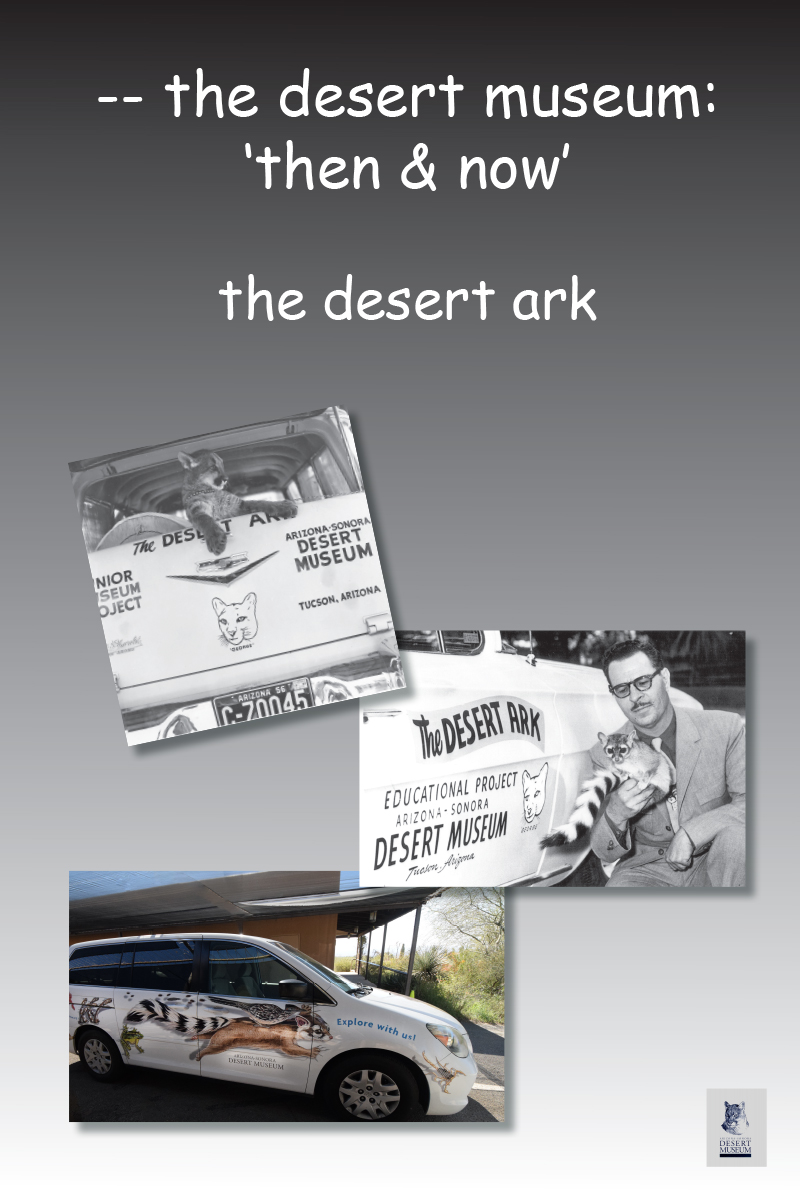 Desert Ark