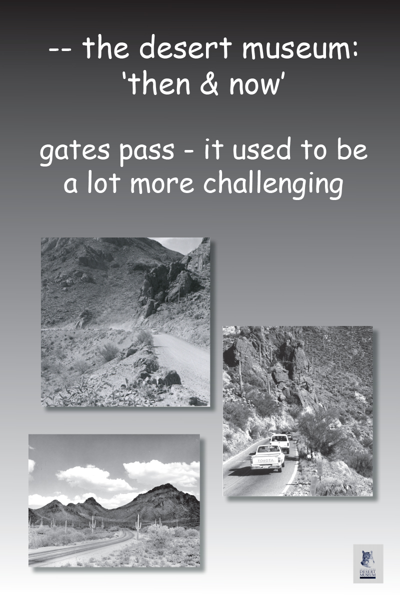 Gates Passs