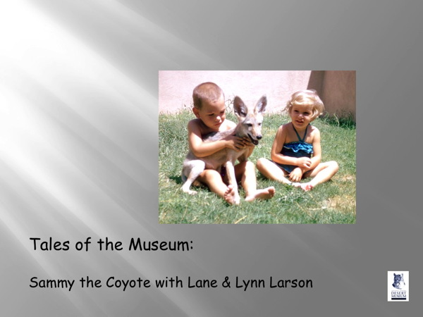 Sammy the Coyote with Lane and Lynn Larson