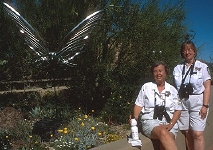 Butterfly Greeting at the Museum Entrance