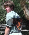 Picture of boy wearing butterfly wings