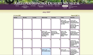 Example of Calendar View