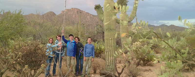 Saguaro Harvesting
