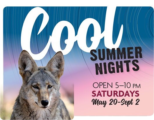 Cool Summer Nights - Open 5-10pm Saturdays May 20-Sept 2