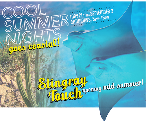 Cool Summer Nights goes coastal! May 21 thru September 3, Saturdays: 5pm-10pm. Stingray Touch opening this summer!