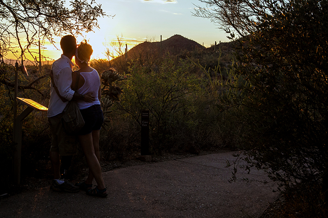 Couple observing the sunset