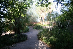View of the path, Desert Garden