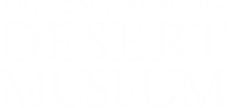 Desert Museum logo