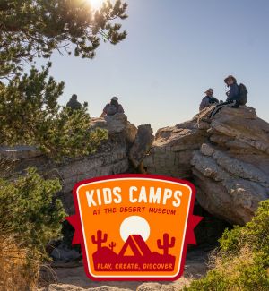 a photo of camp youth in nature, and a Desert Museum camps logo