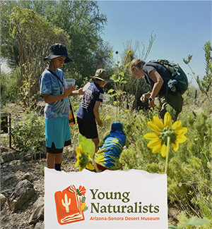 Kids looking for insects in the Pollinator Garden