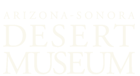 Arizona-Sonora Desert Museum
