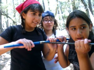 Girls coring a tree