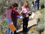 Educators study desert flora