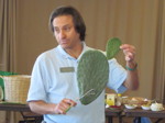 Explaining the prickly pear