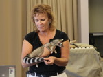 Educators meet a ringtail