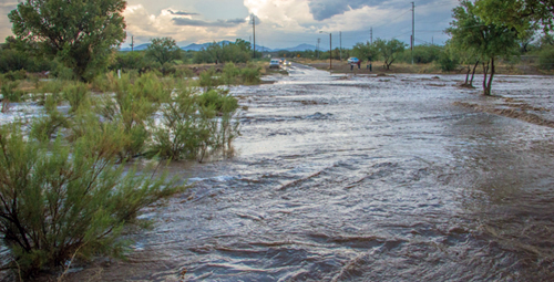 Flooded wash in Rio Rico, Arizona