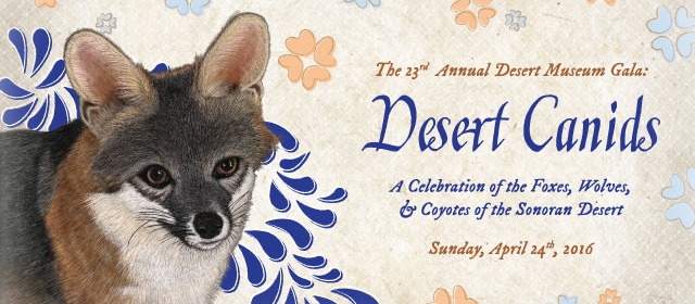 The 23rd Annual Desert Museum Gala: Desert Canids - A Celebration of the Foxes, Wolves, and Coyotes of the Sonoran Desert. Sunday, April 24th, 2016