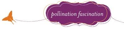 Butterfly, pollinating the menu