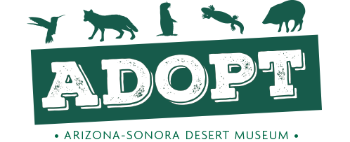 Adoption Center