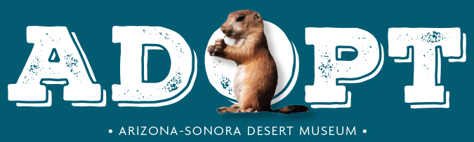 Prairie Dog Adoption Center