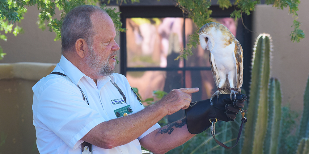 Docent with Barn Owl