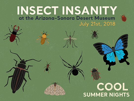 Insect Night - open till 10pm - July 21
