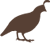 Live Animal