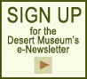 OPT IN - Digital Newsletter
