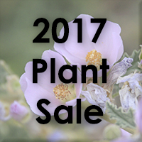 2017 Plant Sale Details