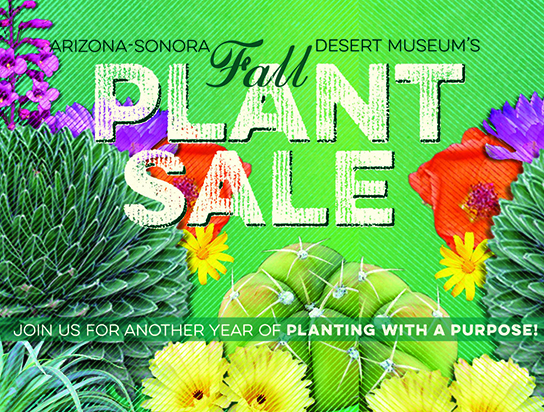 Annual Plant Sale