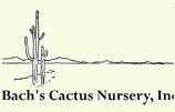 Bach's Cactus Nursery