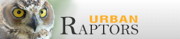 Logo - Urban Raptors