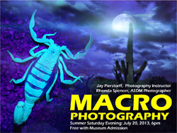 Macro Photography Class Poster